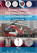 Resuscitative Endovascular Balloon Oclusion of Aorta ( REBOA )